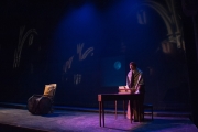 Amadeus Lighting Design Scott Parker 13