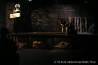 intheblood_ Scott Parker Lighting Design 4
